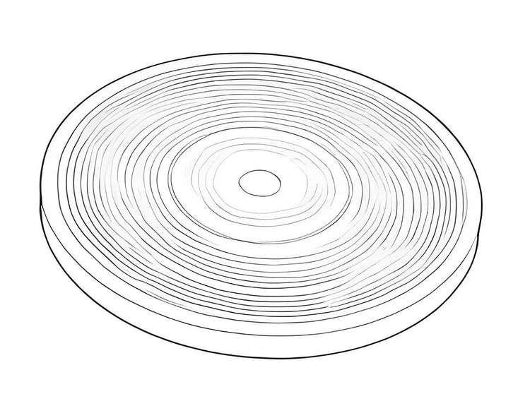 Phenolic Polishing Laps