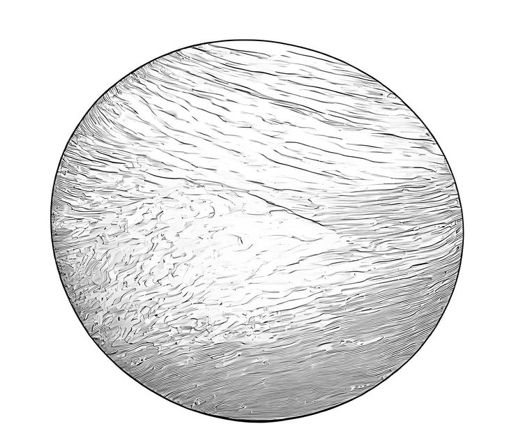 Magnetic Backed Plate